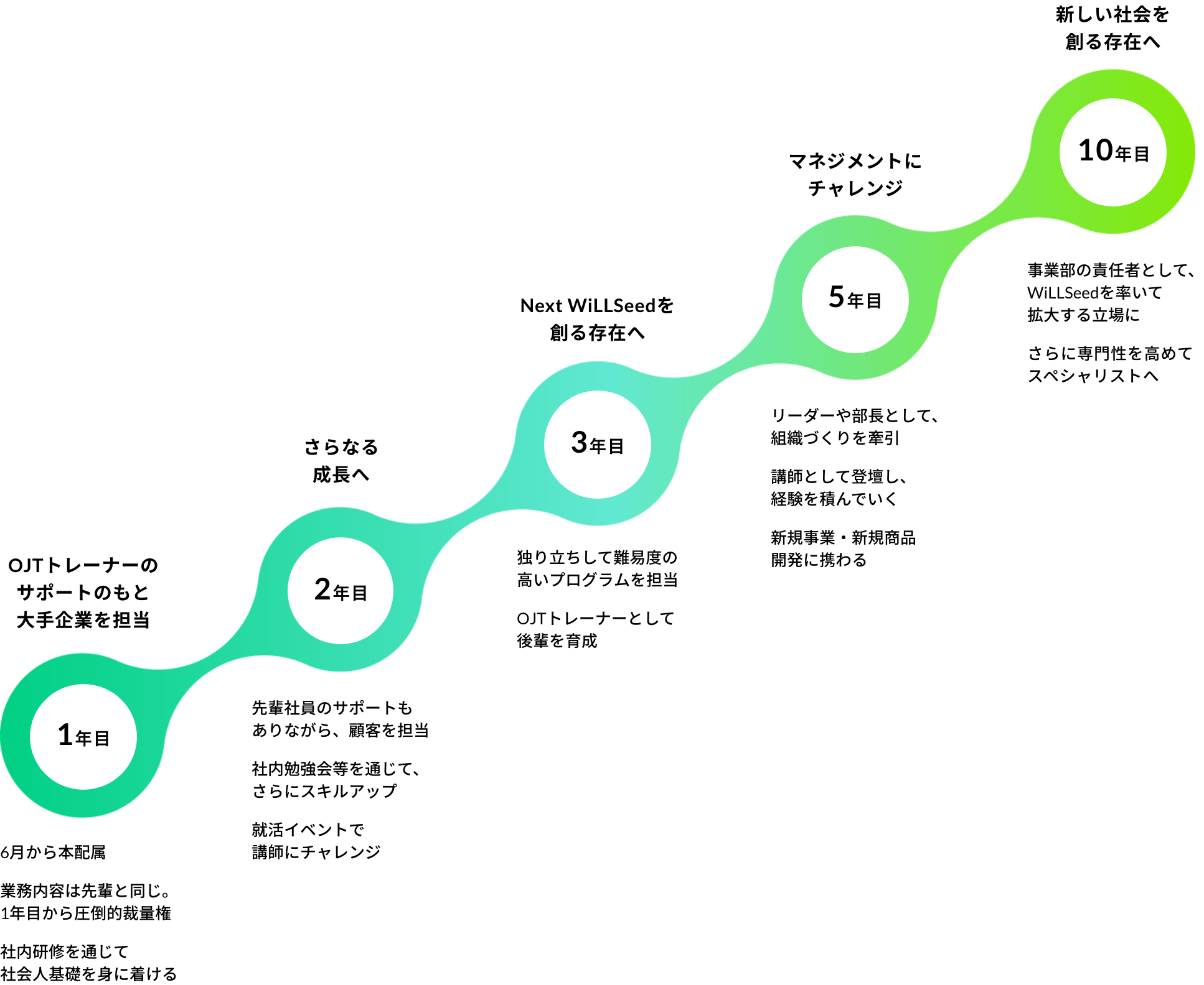 入社後の成長ステップ
